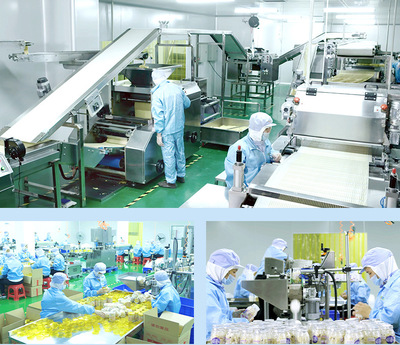 源頭工廠童世界凍干水果豆兒童營(yíng)養(yǎng)輔食水果粒批發(fā)多口味可定制產(chǎn)品展示